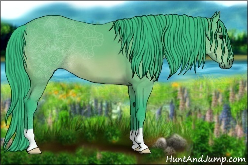 Horse Color:Watercolor Bay