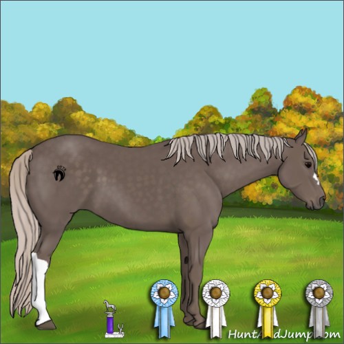 Horse Color:Silver Black 