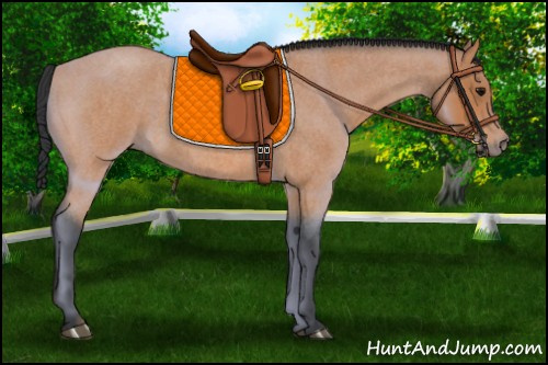 Horse Color:Bay Roan 