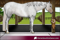 Horse Color:Silver Smoky Blue Roan Tobiano 