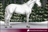 Horse Color:Gray Silver Black Splash Snowcap 