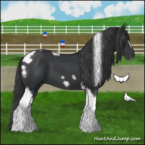 Horse Color:Black Tobiano Frame 