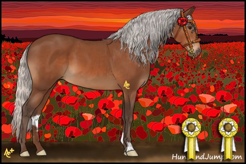 Horse Color:Silver Bay 