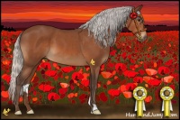 Horse Color:Silver Bay 