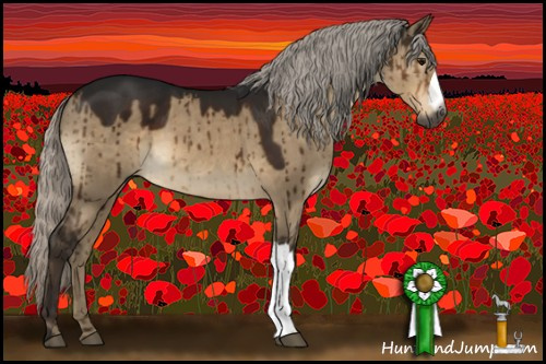 Horse Color:Gray Silver Brown Dun Brindle 