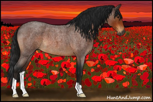 Horse Color:Gray Brown Roan 