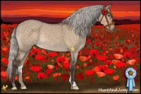 Horse Color:Silver Brown Dun