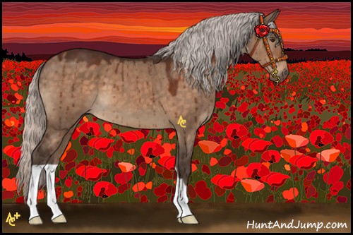 Horse Color:Silver Brown Dun Brindle 