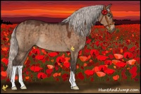 Horse Color:Silver Brown Dun Brindle 