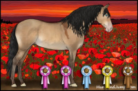 Horse Color:Gray Amber Champagne Dun