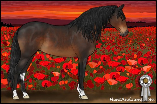 Horse Color:Gray Brown