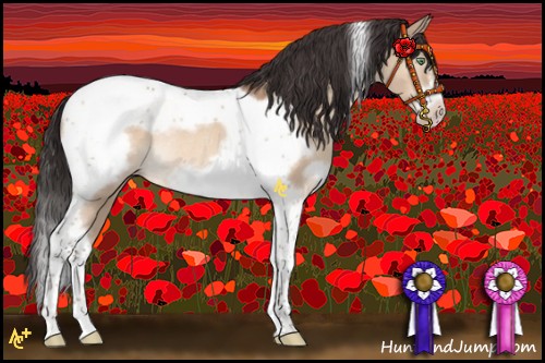 Horse Color:Sable Champagne Dun Tobiano Frame Rabicano