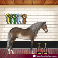 Horse Color:Gray Silver Brown Dun Brindle 