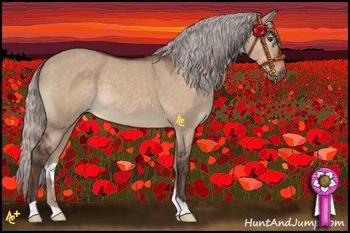 Horse Color:Silver Brown Dun 