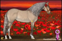 Horse Color:Silver Brown Dun