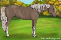 Horse Color:Silver Black  and Silver Black 