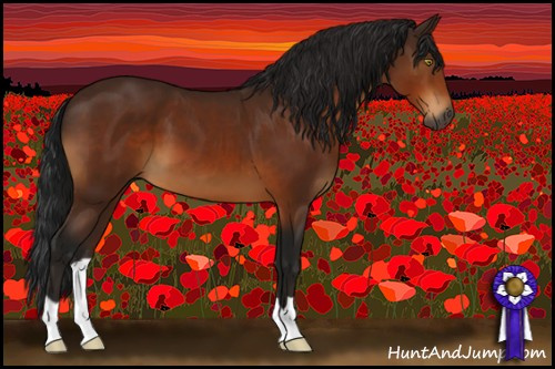 Horse Color:Gray Bay 