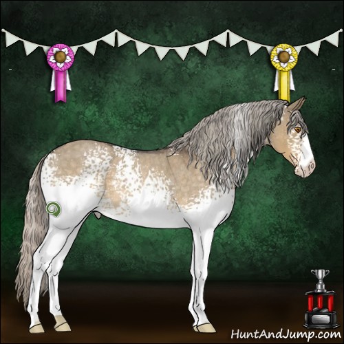 Horse Color:White Spotted Silver Buckskin Roan Dun 