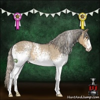Horse Color:White Spotted Silver Buckskin Roan Dun