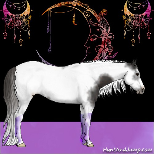 Horse Color:Liver Chestnut Tobiano Frame 