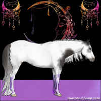 Horse Color:Liver Chestnut Tobiano Frame 