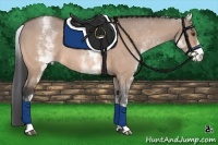 Horse Color:White Spotted Brown Roan Dun 