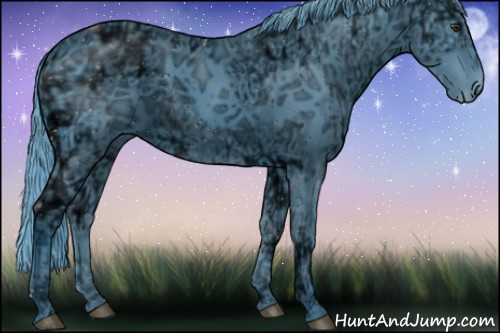 Horse Color:ERROR: UNKNOWN ANOMALY