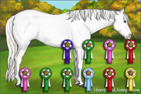 Horse Color:Silver Bay Roan Frame Varnish