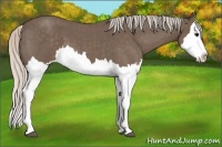Horse Color:Silver Blue Roan Splash