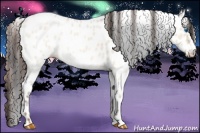 Horse Color:Amber Champagne Ice Roan Dun Frame Leopard 