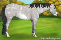 Horse Color:Grullo Ice Roan Frame 