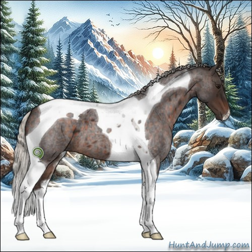 Horse Color:Silver Brown Roan Tobiano 