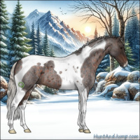 Horse Color:Silver Brown Roan Tobiano 
