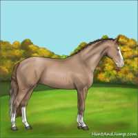 Horse Color:Black Pearl Splash 