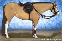 Horse Color:White Spotted Amber Champagne 