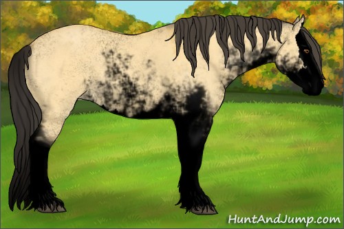 Horse Color:Void Buckskin Dun Sabino Splash 