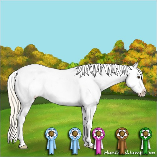 Horse Color:White Spotted Palomino Varnish Rabicano 