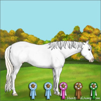 Horse Color:White Spotted Palomino Varnish Rabicano