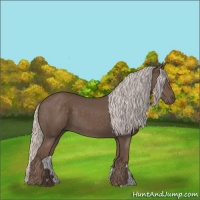 Horse Color:Silver Black 