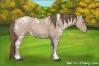 Horse Color:Black Ice Pearl Sabino Tobiano