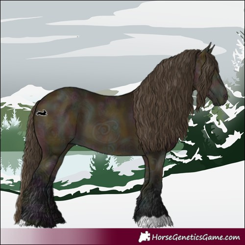 Horse Color:Midnight Buckskin Ice