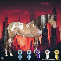 Horse Color:White Spotted Sable Champagne 