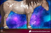 Horse Color:White Spotted Classic Champagne 