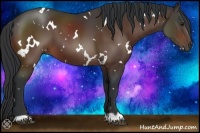 Horse Color:White Spotted Brown 