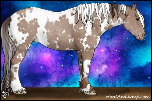 Horse Color:White Spotted Classic Champagne Varnish 