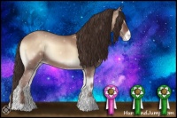 Horse Color:Classic Champagne Roan Onyx Appaloosa