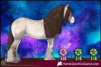 Horse Color:Classic Champagne Roan Onyx Varnish 