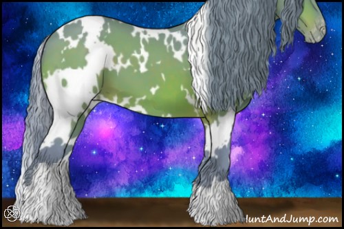 Horse Color:Watercolor White Spotted Brown Appaloosa 