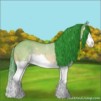 Horse Color:Watercolor Brown Splash