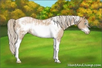 Horse Color:Chocolate Palomino Pearl Tobiano Frame and Chocolate Palomino Pearl Tobiano Frame